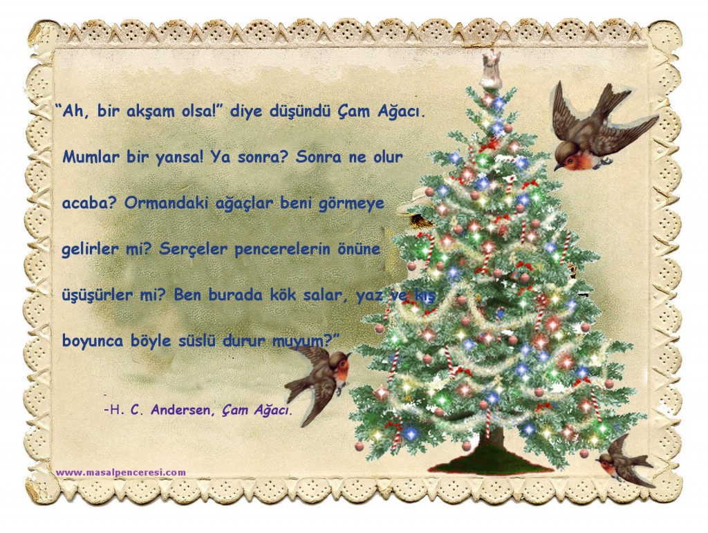 Çam Ağacı